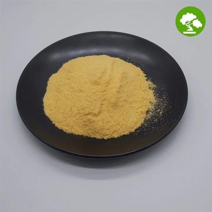 Kumquat Powder suppliers