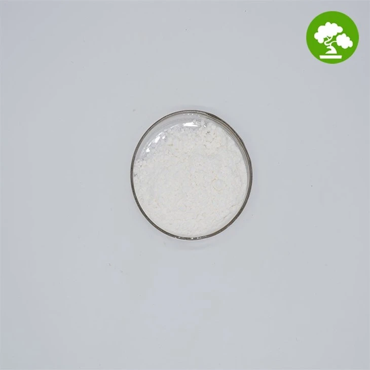 Magnesium Silicate Powder suppliers