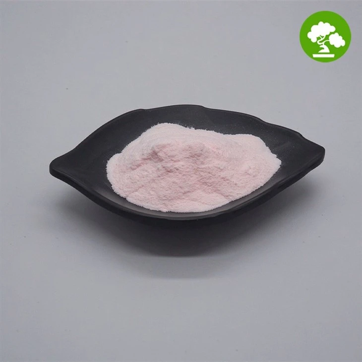 Pure Guava Powder suppliers