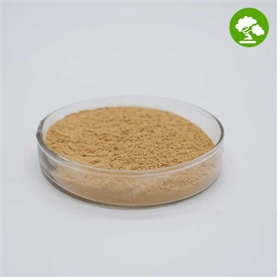 Порошок екстракту Citrus Aurantium