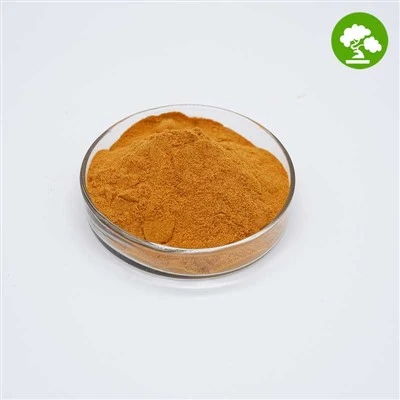 Порошок екстракту Gynostemma Pentaphyllum